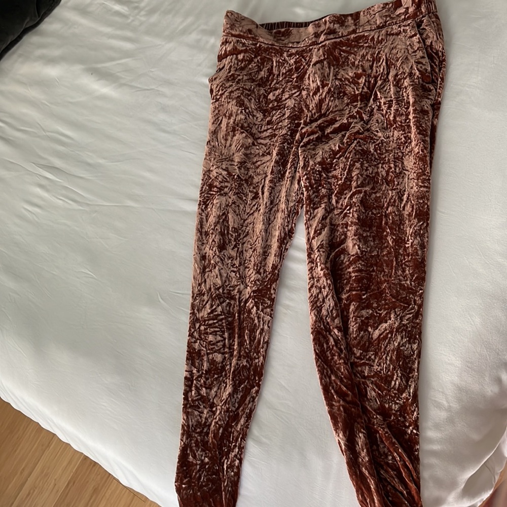 Pristine Eileen Fisher silk rayon crushed velvet pants.